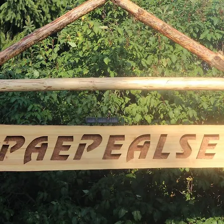 Paepealse *