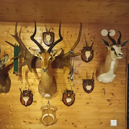 Летний дом Paepealse