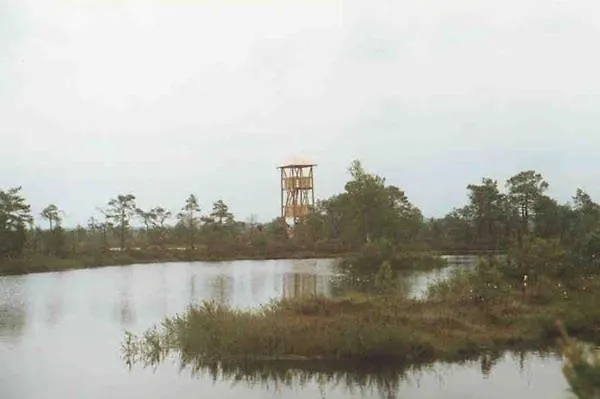 Paepealse * Kullamaa