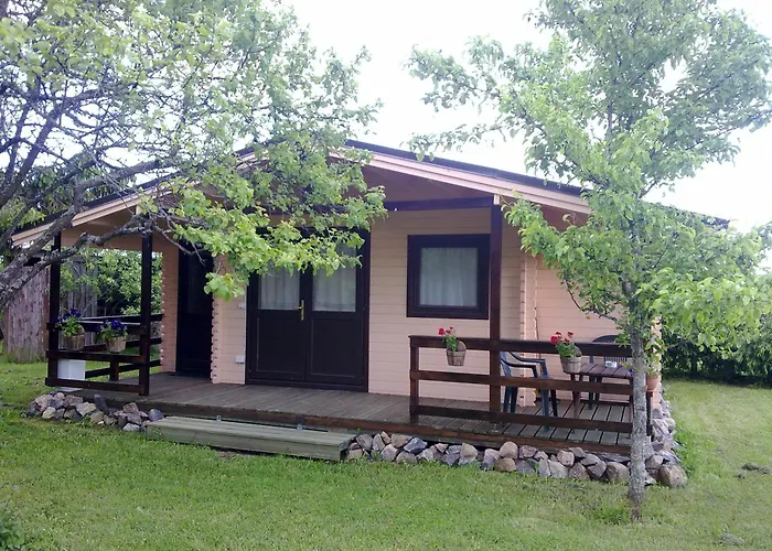 Paepealse * Kullamaa